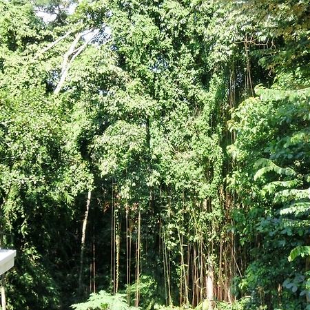 Latugu Homestay Ubud Exterior photo