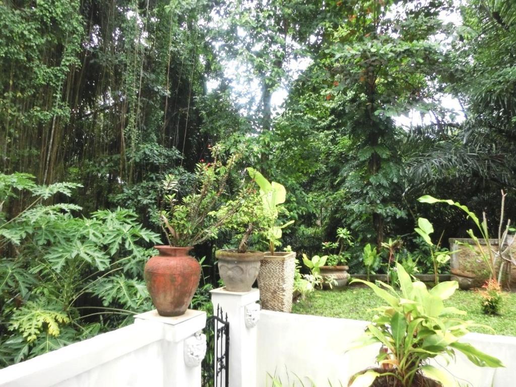 Latugu Homestay Ubud Room photo