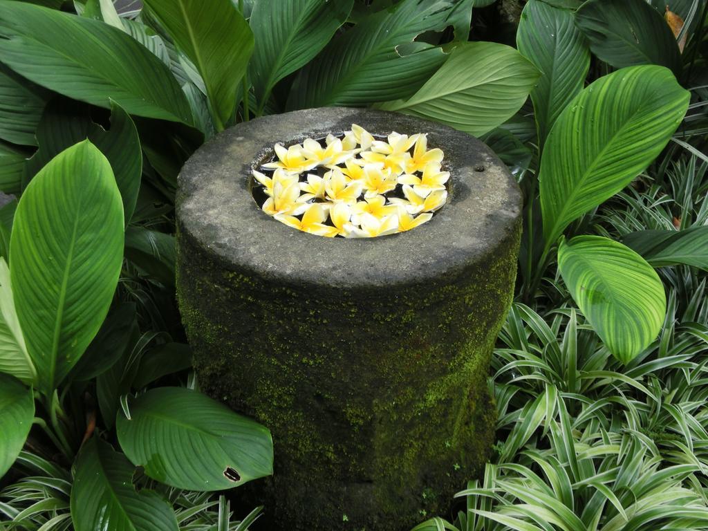 Latugu Homestay Ubud Exterior photo